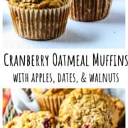 A basket of cranberry oatmeal muffins.