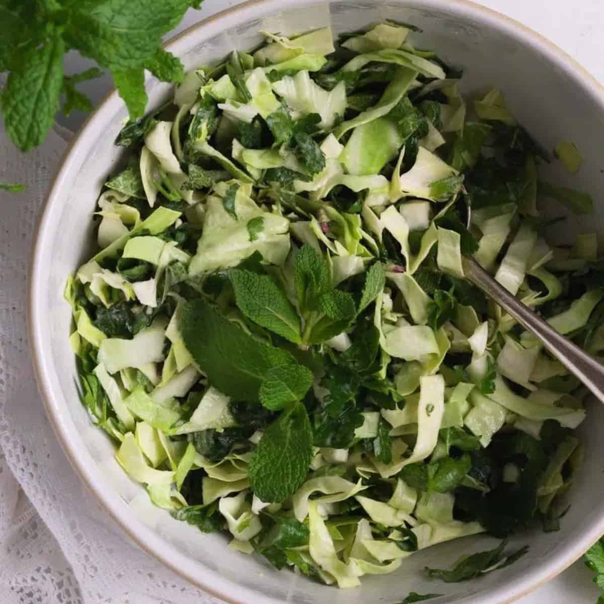 Green and white shredded cabbage salad in a white bowl.
