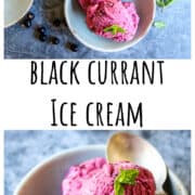 Black current ice cream in a loaf pan with an ice cream scoop.